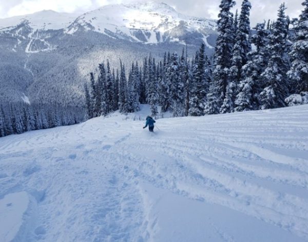 Getting Back Onto Snow