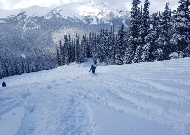 Getting Back Onto Snow